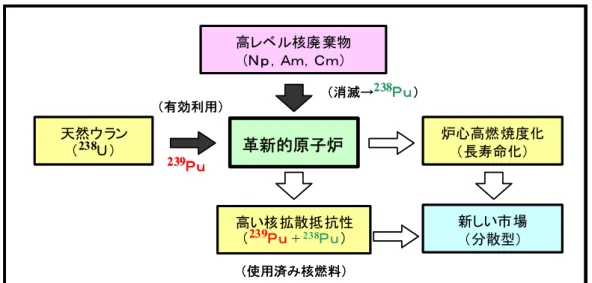 図 2  強い核拡散抵抗性を有する革新的原子炉の研究 