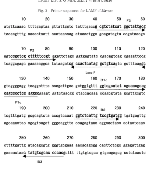 Tabl e 1  Components  of reacti on  mi xture  f or  LAMP 2X  Reacti on  Mi x mM40Tris-HCL（pH8.8） mM20KCl mM16MgSO4 mM20（NH4）2SO4 %0.2Tween 20 M1.6Betain m M  each2.8dNTPs μ L12.52X Reaction Mix 2