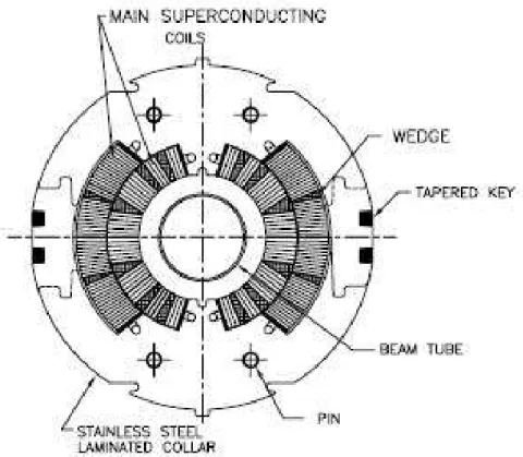 Figure 1.4: Magnitude of the components of the Lorentz force on the individual  turns in a SCC 50 mm prototype magnet