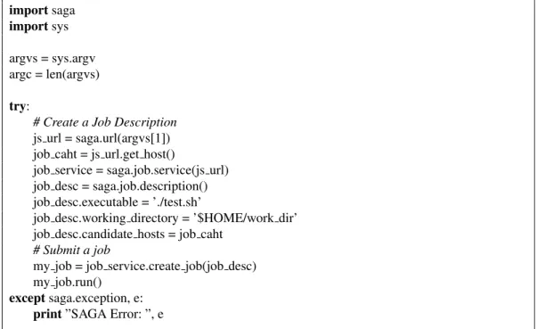 Figure 2.11: Job execution example in Python interface.