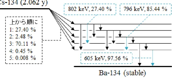図 2.9 Cs-137 の崩壊形式 [1]