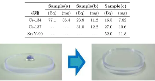 表 3.1 実証実験用に用意された試料の一覧 Sample(a) Sample(b) Sample(c)