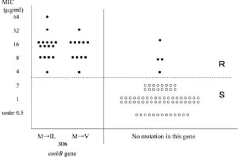Fig. 6 に示すとおり，コドン 306 の Met （M） が Ile