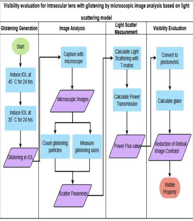 Figure 1.2: Block Diagram of Visibility evaluation for intraocular lens with glistenings by microscopic image analysis based on light scattering model