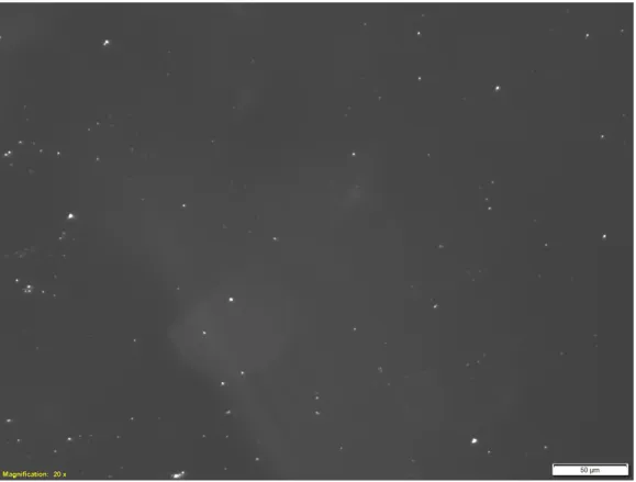 Figure 4.3: Glistening in microscopic image of IOL with 20X magnification