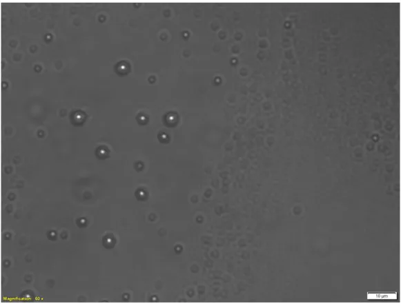 Figure 4.6: Glistening in microscopic image of IOL with 60X magnification