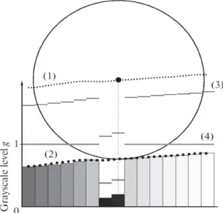 Figure 4.7: Schematic diagram of background subtraction by rolling ball method [47]