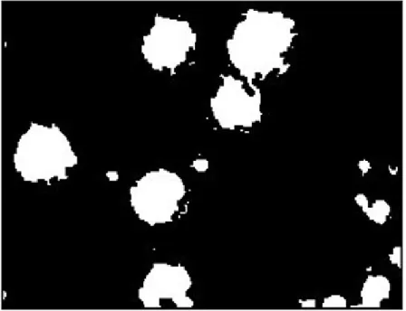 Figure 4.10: Filling holes in microscopic image of IOL