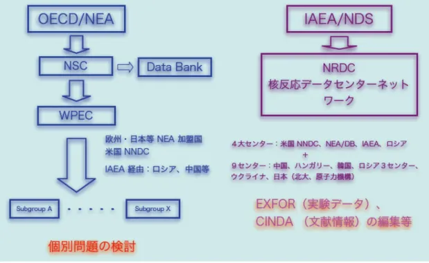 図 1  核データに関する国際的な枠組み 