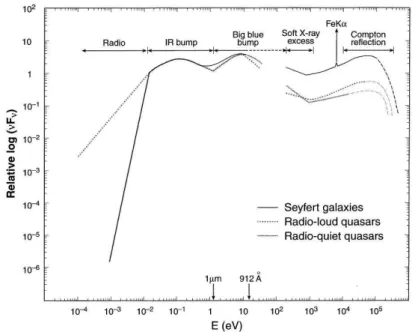Figure 1.2: Schematic representation of broadband continuum spectral energy distribution (SED) seen in the diﬀerent types of AGN (Koratkar &amp; Blaes, 1999)