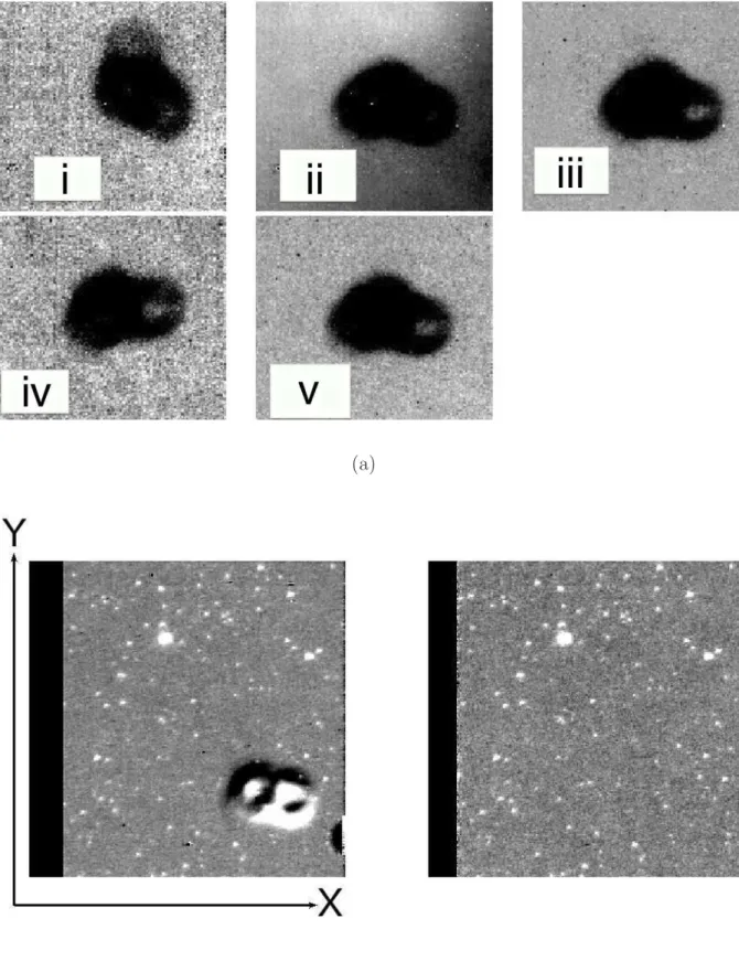 Figure 2.4: (a) Five types of the soramame pattern. The pattern (ii) has a gradient in the sky value, showing that it also contains stray light