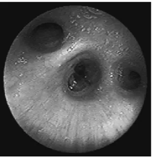 Fig. 4 Clinical course.
