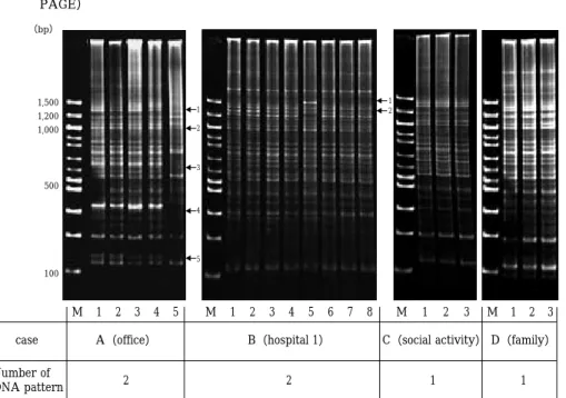 Fig. 5 DNA finger printing of Mycobacterium tuberculosis by AP-PCR method-1（3.5％