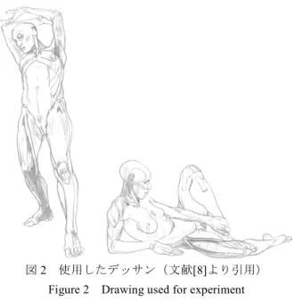 Figure 2    Drawing used for experiment 