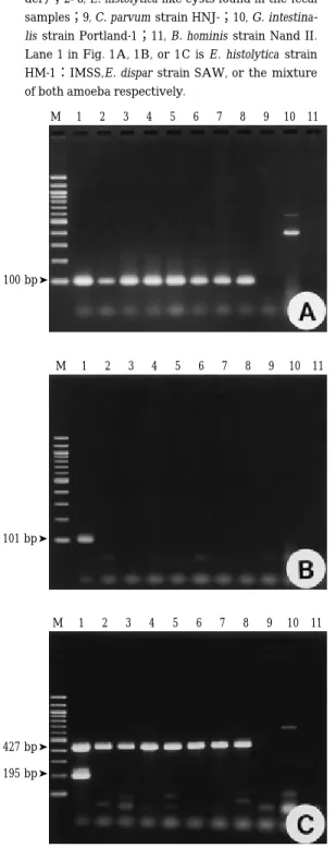 Fig . 2 Comparison of the sensitivity of each PCR with the different primer pairs. E. histolytica or E.