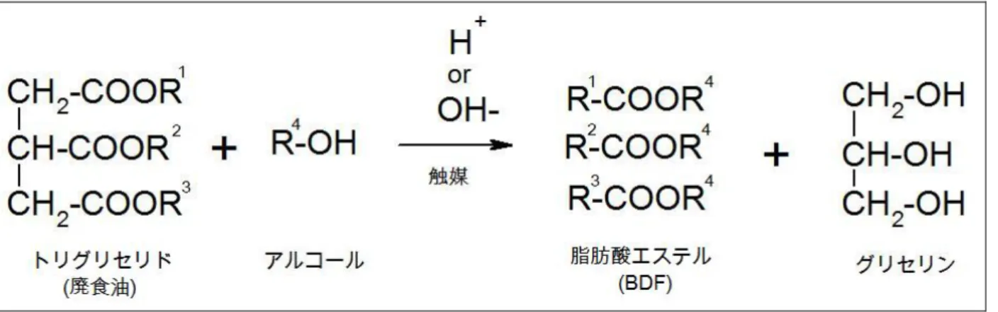 図 8  バイオディーゼル燃料生成の化学反応式  エルフ A３型機ではエステル交換反応という化学反応によりバイオディーゼ ル燃料が生成される。この反応式では、廃食油であるトリグリセリドとアルコ ールが反応して脂肪酸エステルであるバイオディーゼル燃料とグリセリンを生 成する。次に、有限会社エルフのエルフＡ３型機の諸元表からバイオディーゼ ル燃料を生成する際のフローを示す。  沈澱分離 24hr 脱水 1.5hr水洗い1.0hr廃食油100Ｌ-ＵＣメタノール 18LNaOH 1.5kg洗浄水 20L ＢＤＦ93