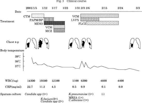 Fig. 3 Clinical course.