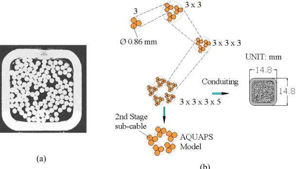 Fig. 2.3: (a) Cross-sectional view of the SST-1 CICC [2.3]; (b) schematic of different  twisting stages in the SST-1 CICC