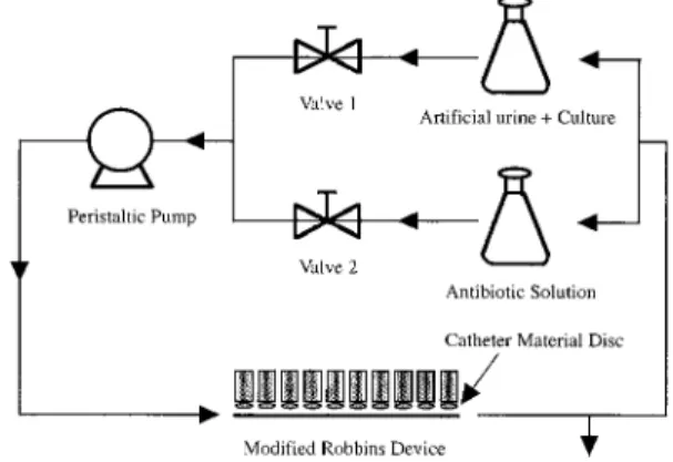 Fig. 1 Experimental system using a modified Rob- Rob-bins device