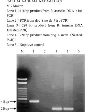 Fig. 4 Case 2. Detection of B. henselae DNA from the paraffin-embedded lymph node tissue.