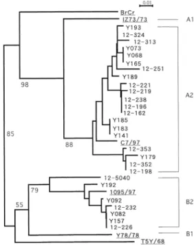 Fig. 3 Phyrogenetic tree of EV71 strains prevailed in Osaka in the year 2000.