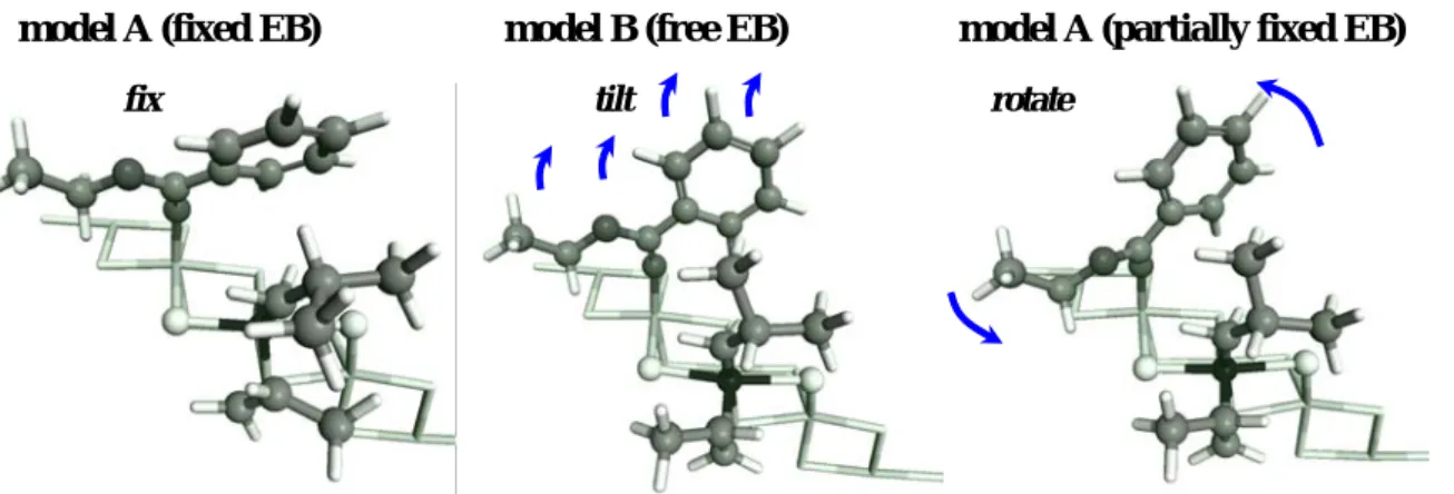 Fig. 2.    Employed models.    The arrows indicate the direction of the structural relaxation of EB