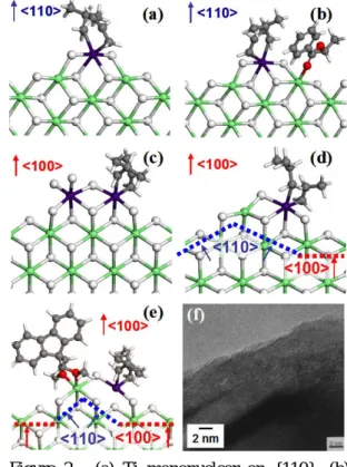 Figure 2.  (a) Ti mononuclear on {110}, (b)  coadsorption with ethylbenzoate on {110}, (c)  Ti dinuclear on {100}, (d) Ti mononuclear at a  {110} atomic step, (e) coadsorption with  1,3-diether at a {110} atomic step, and (f) a  surface structure of cogrou