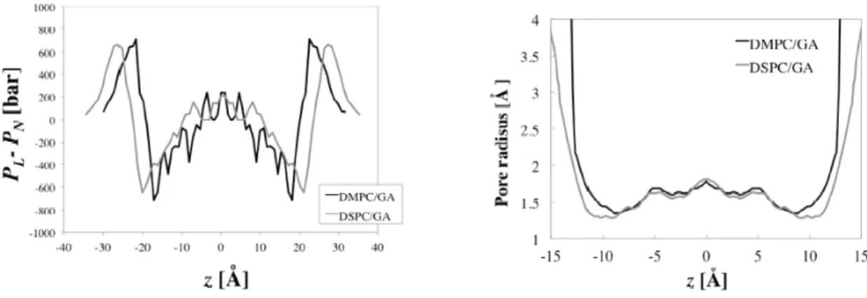 図 1.  膜厚方向に対する Lateral pressure profile.          図 2.  膜厚方向に対する Pore radius profile. 