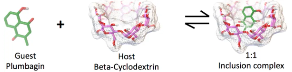 Figure 1. Molecular structure of guest molecule (Plumbagin) and host molecule   (β-cyclodextrin), which will form 1:1 inclusion complex 