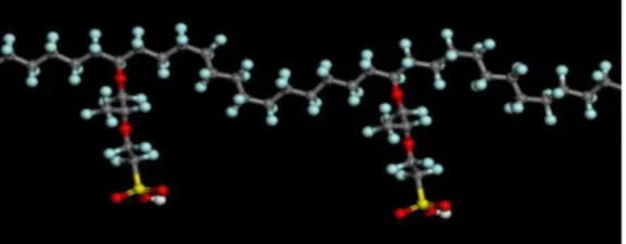 Figure 1 Structure of Nafion.            Figure 2 Optimized structure of Nafion. 