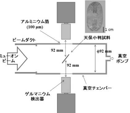 図 1：J-PARC におけるミューオン実験施設 D2 ビームラインに設置した実験セットアッ