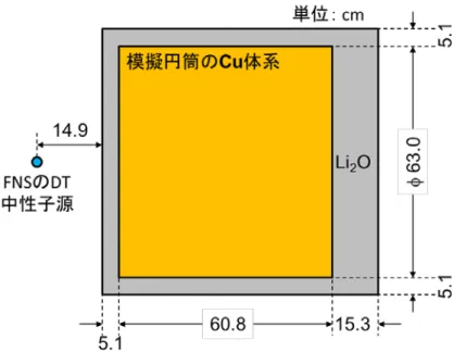 図  1.  酸化リチウム付銅実験体系模式図（バックグランド中性子影響低減）. 