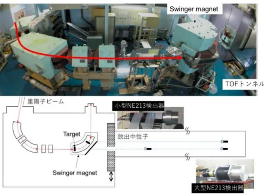 図  3  大阪大学核物理研究センター中性子実験室及びTOFトンネルの写真と模式図  本実験で得られた 0 度における Li から Nb までの中性子放出 DDX の結果を図 5 に示 します[16]。重陽子分解反応によって生じる 50MeV 付近の幅広いピークの大きさや幅が、 標的核の原子番号に従って系統的に変化していることがわかりました。  図  4  Li、Be、C、Al、Cu、Nb標的に対する0度における102MeV重陽子入射  中性子生成二重微分断面積[16] 