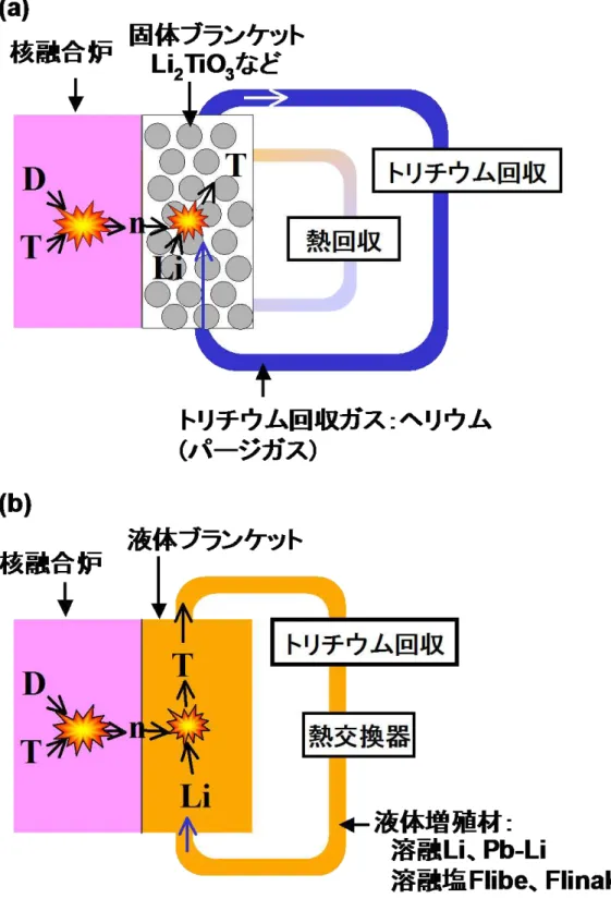 図 1-1  核融合炉トリチウム増殖ブランケットシステムの概要