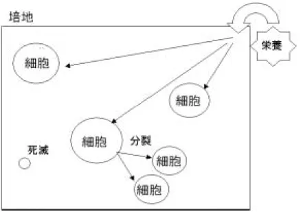 図 4.1: モデル概念図：培地に栄養物質が一定の割合で流れ込み、その栄養物質を半透膜 を介して内部に取り入れる。反応が進み細胞内部の活性が高まると大雑把な分裂をする。 内部の活性が下がると死滅をする。促進拡散を考えた細胞の場合は、内部の活性に依存し て栄養物質の透過率を変動させる。 このモデルから予想されることは、内部反応系によって膜物質が生産されるために時間 とともに細胞内濃度は希釈され、適当に栄養物質の流入がないと細胞は死滅する、という 現象がおきることである。逆にあまりに物質の透過率が高いと膜成分を