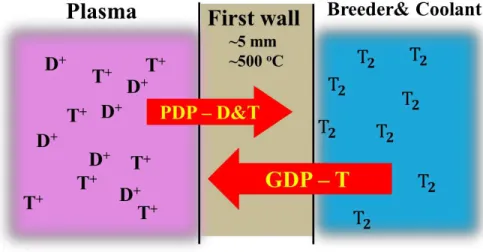 Figure 1.5  PDP and GDP of hydrogen isotopes through the first wall  