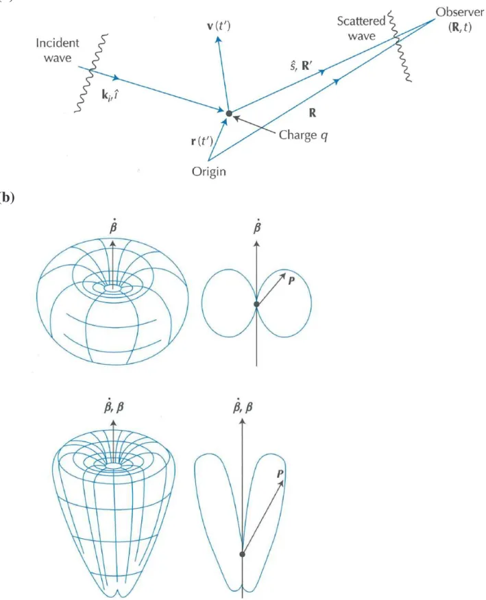図 2.3 : (a) 荷電粒子による光の散乱の座標系、(b) 加速された荷電粒子からの放
