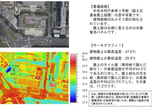 図 5-29    緑化部分と非緑化部分の表面温度の違い  資料）国土交通省
