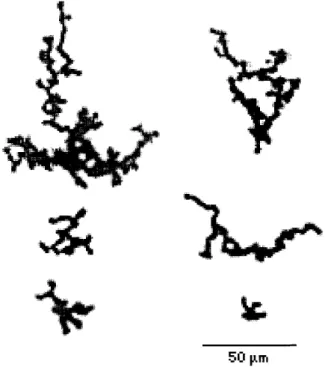 Fig. 1.10 Dust aggregates observed in laboratory experiments by Wurm &amp; Blum (1998)