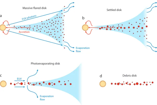 Figure 1.2: Schematic of typical evolution of circumstellar disk. The gas distribution