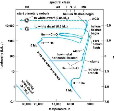 Figure 1.5: H-R diagram of evolution of low- and intermediate-mass stars. (After J. B
