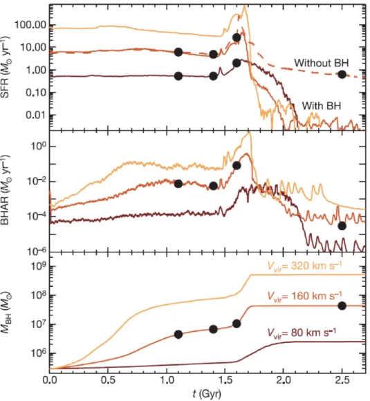 Figure 1.2: Time evolution of star formation rate (SFR; upper panel), black hole accretion rate (BHAR; middle panel), and SMBH mass (lower panel): These plots are calculated and presented in Di Matteo et al