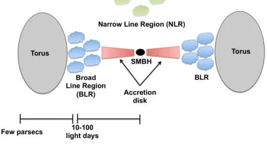 Figure 1.9: A schematic view of an AGN: A typical structure of AGN, provided by a website of Dr