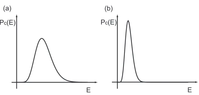 Figure 2.2: Probability distribution P c of the potential energy E at (a) a high temperature