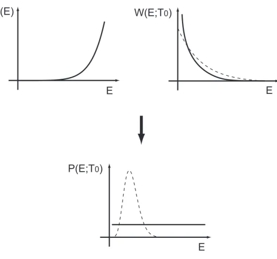 Figure 2.3: Probability distribution P muca (E) of the potential energy E is represented by