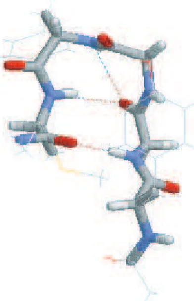 Figure 3.3: The common initial conformation of the usual canonical, multicanonical, multi-overlap MD simulations