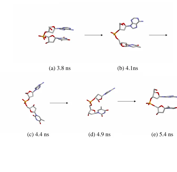 Figure 2.3: Snapshots of the dApdT dimer from the REUS simulation for one of the replicas (Replica 2): (a) 3.8 ns; (b) 4.1 ns; (c) 4.4 ns; (d) 4.9 ns; (e) 5.4 ns.