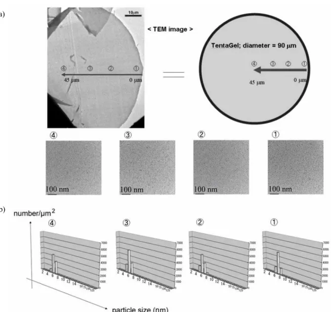 Figure 1-2-4. ARP-Pt 10 a) TEM image    b) Pt 粒子 粒 a) 