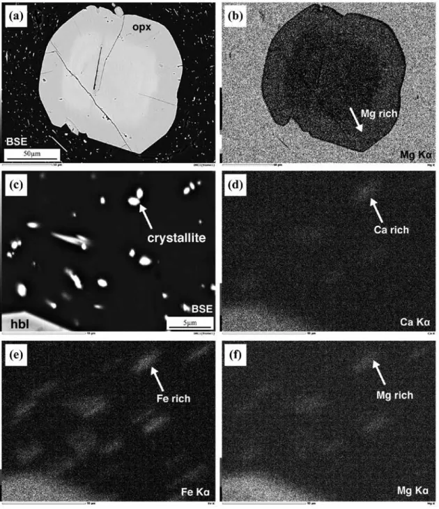 Figure 9  (a) Backscattered electron (BSE) image of the orthopyroxene with zonal structure in the CAU230 specimen