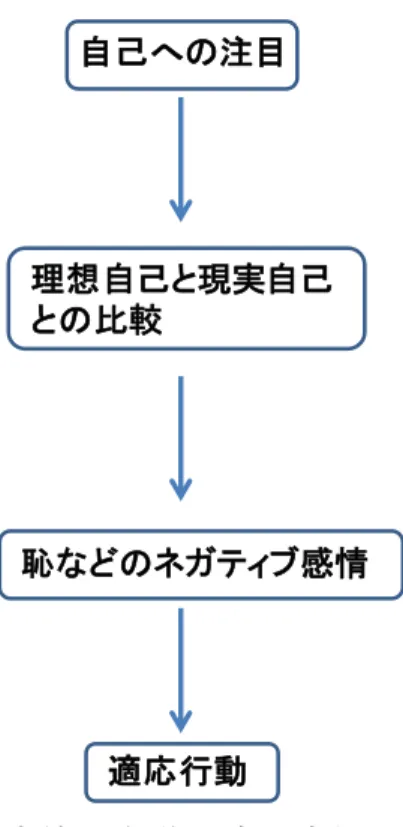 図  2 客体的自覚理論の流れ